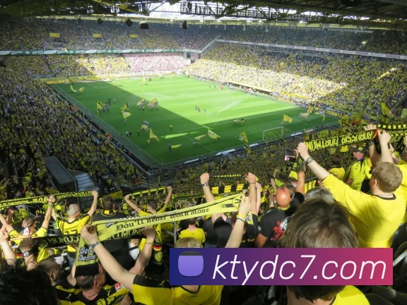 c7娱乐服务体系